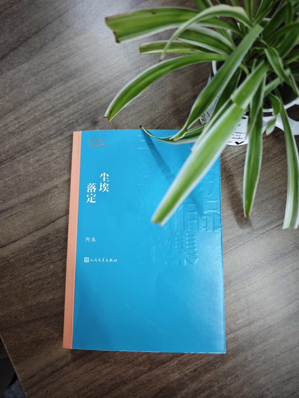 cbe2d2c5658a43a7869e8bbae09d29b5.jpg