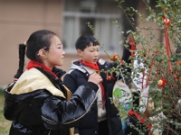 春风吹过 正“植”有我