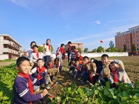 亲土园里耕秋趣 劳动实践育新苗 ——海安市大公镇古贲小学开展秋季劳动实践活动